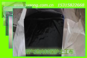 沼氣池內(nèi)襯保護(hù)土工布