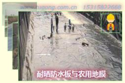 耐曬防水板與農用地膜